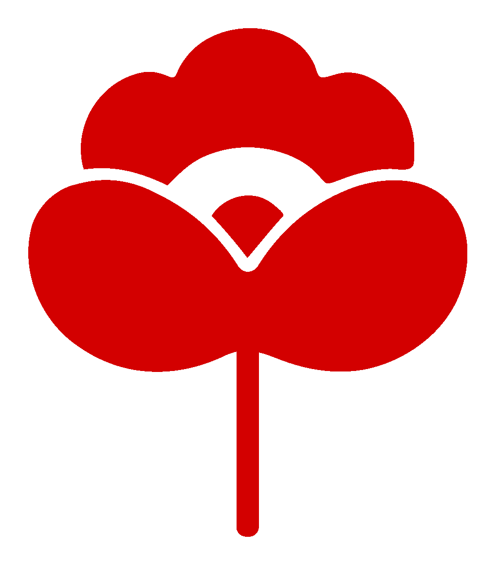Amapolas