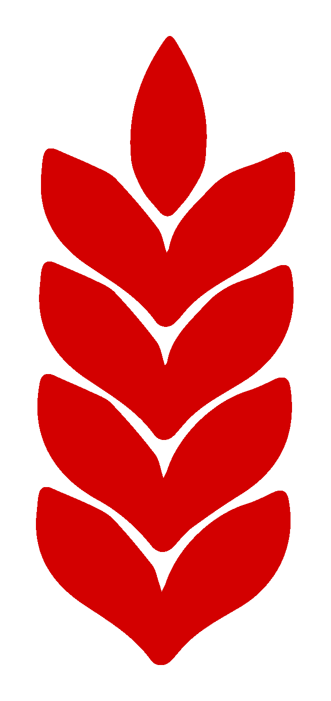 Espigas